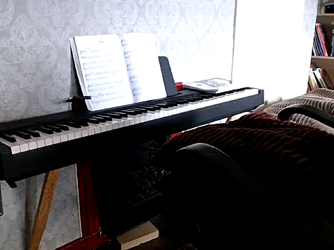 MrStraightDik online show from February 2025 12:45:02 PM