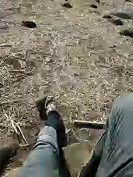 murokkk31 online show from December 2024 08:38:02 AM