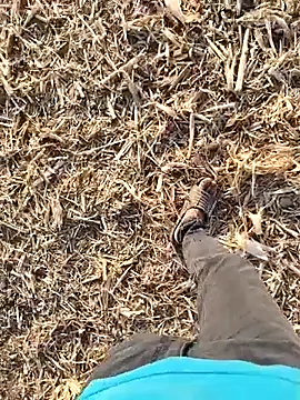 murokkk31 online show from September 2025 01:49:01 PM