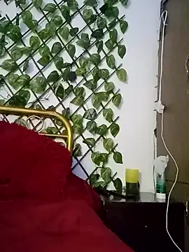 amatista 3012 online show from October 2025 11:54:01 AM