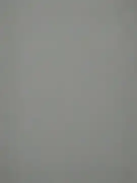 TheSouthernKing online show from December 2024 12:12:02 PM