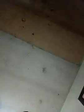 Alonsomadeira online show from April 2026 09:25:02 AM