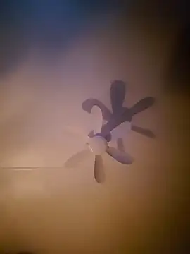 Dorset8360 online show from November 2025 02:17:02 AM