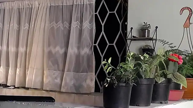 Snapshot of peyton_golden1 chatting on January 2025 06:35:02 AM peyton golden1 online show from January 2025 06:35:02 AM