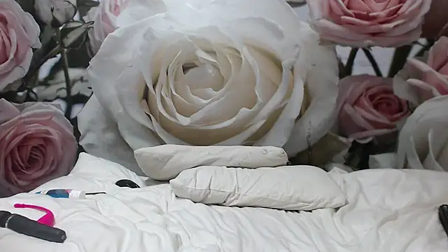 Sexysilverfoxxx online show from December 2024 04:03:02 AM