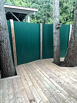 twist699 online show from November 2025 06:41:01 PM