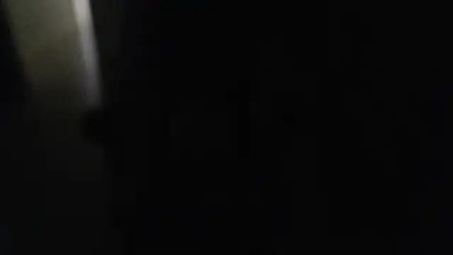 joeydee1 online show from December 2024 07:21:01 PM