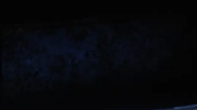 joeydee1 online show from February 2025 02:04:02 PM