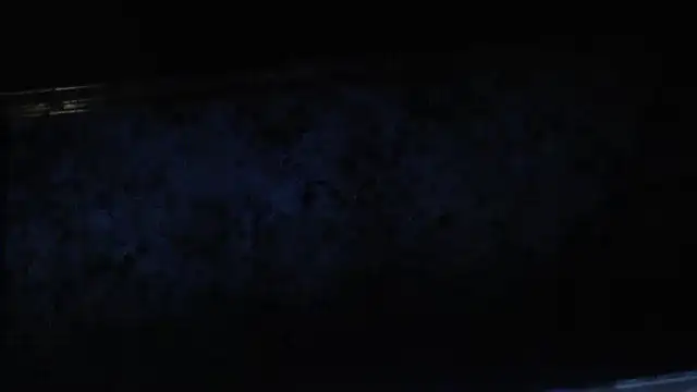 joeydee1 online show from February 2025 11:20:02 PM