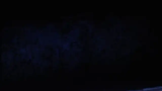 joeydee1 online show from February 2025 11:44:02 AM