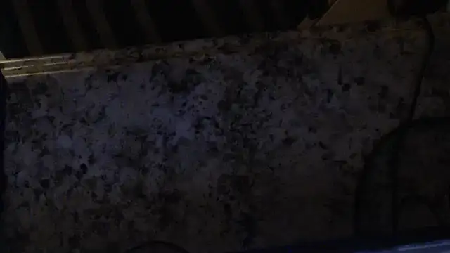 joeydee1 online show from February 2025 03:06:02 AM