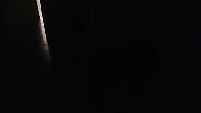 joeydee1 online show from March 2025 11:29:02 AM