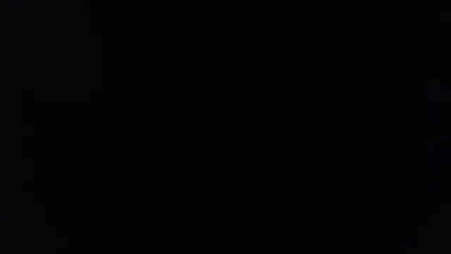 joeydee1 online show from March 2025 05:58:02 AM