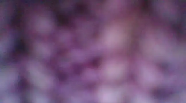 mia cooper 24 online show from December 2024 07:00:02 PM