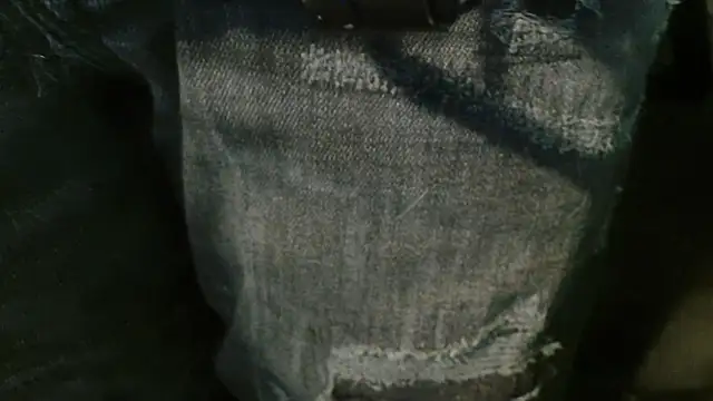 Snapshot of Gigadickman chatting on January 2025 04:02:02 PM Gigadickman online show from January 2025 04:02:02 PM