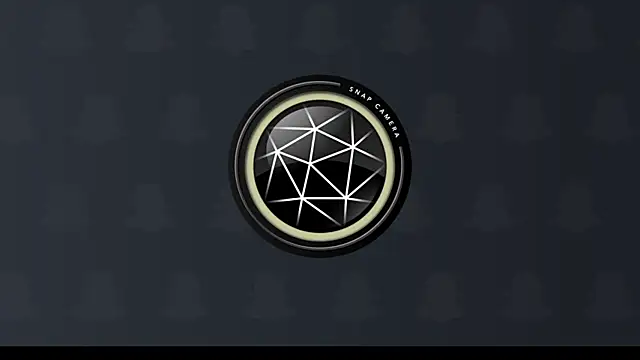 Snapshot of Gigadickman chatting on January 2025 02:19:01 PM Gigadickman online show from January 2025 02:19:01 PM