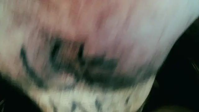 Snapshot of Gigadickman chatting on January 2025 11:44:01 PM Gigadickman online show from January 2025 11:44:01 PM