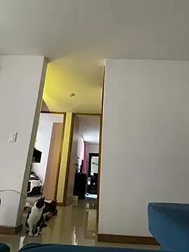 SofiaG  online show from January 2025 02:24:02 PM