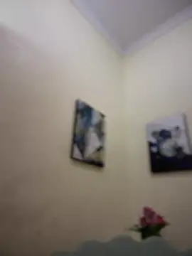 MaverickGray online show from January 2025 04:41:01 PM