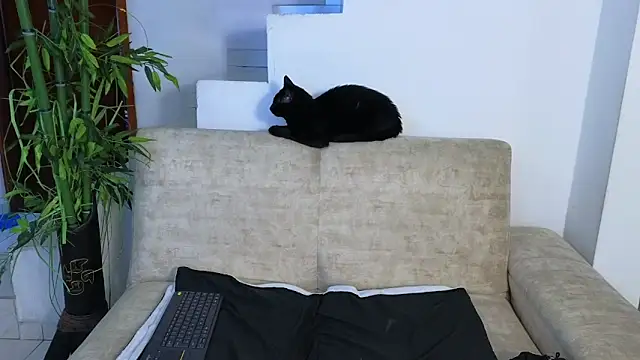 Lorenne Miller online show from April 2026 03:53:01 AM