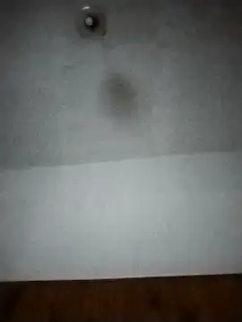 Xtrem3HARDxxx online show from December 2024 06:14:01 AM