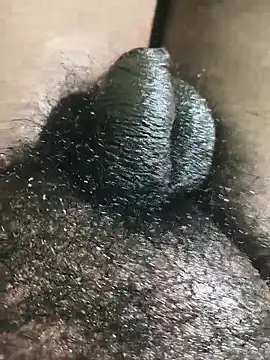 Snapshot of rajrahulovi chatting on February 2026 04:49:02 PM rajrahulovi online show from February 2026 04:49:02 PM