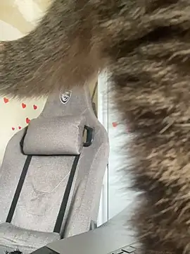 Snapshot of GraceTorrez chatting on March 2025 06:05:02 AM GraceTorrez online show from March 2025 06:05:02 AM