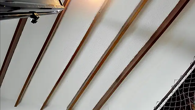 Beard xox online show from December 2024 01:47:02 AM