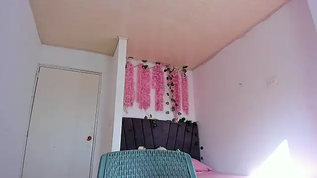 Snapshot of alexaryderr chatting on January 2026 09:07:02 PM alexaryderr online show from January 2026 09:07:02 PM