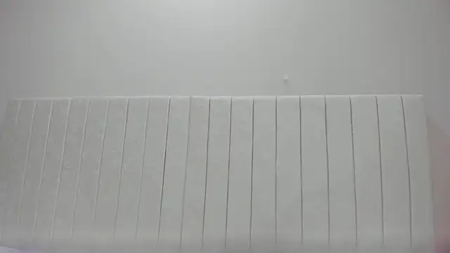 Snapshot of Littleolivia_ chatting on March 2025 12:47:01 PM Littleolivia online show from March 2025 12:47:01 PM