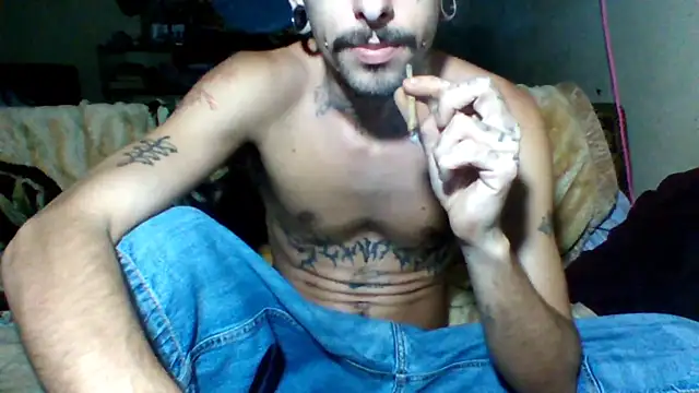 sellvageria online show from December 2025 08:03:01 PM