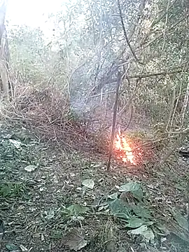 Snapshot of andreu_mature chatting on February 2025 10:42:02 PM andreu mature online show from February 2025 10:42:02 PM