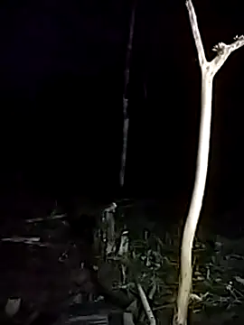 Snapshot of andreu_mature chatting on March 2025 11:43:02 PM andreu mature online show from March 2025 11:43:02 PM