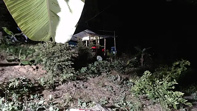 Snapshot of andreu_mature chatting on October 2025 01:14:01 AM andreu mature online show from October 2025 01:14:01 AM