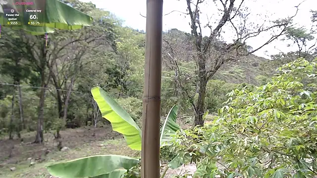 Snapshot of andreu_mature chatting on October 2025 04:09:01 PM andreu mature online show from October 2025 04:09:01 PM