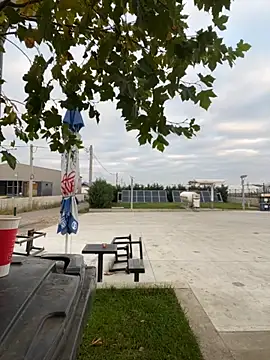 baramadalin online show from November 2025 05:30:02 AM