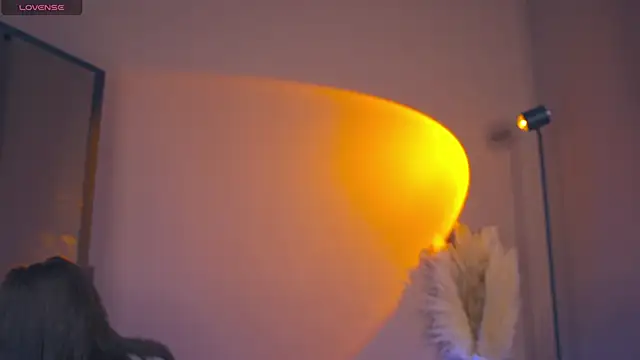 Snapshot of FairyFlutter chatting on December 2024 03:21:01 PM FairyFlutter online show from December 2024 03:21:01 PM