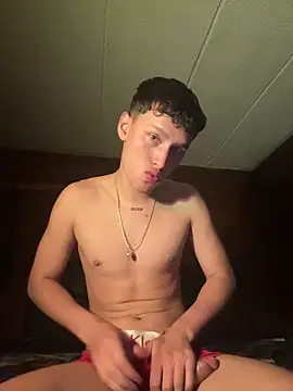 Snapshot of pipeynick chatting on March 2025 03:40:01 AM pipeynick online show from March 2025 03:40:01 AM