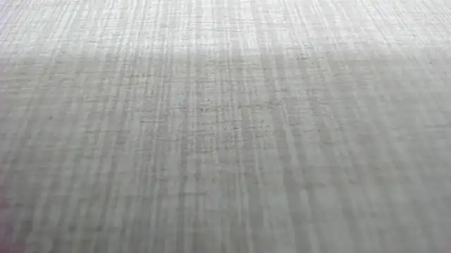 AishaRouhi online show from March 2026 05:13:02 AM