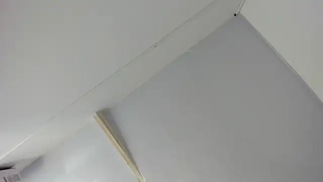 Dei v 48 online show from March 2025 09:28:01 AM