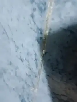 Chancho141414 online show from October 2025 02:03:02 AM