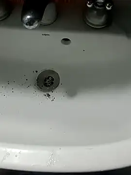 Chancho141414 online show from November 2025 04:47:01 PM