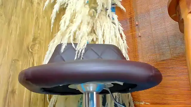 sammyfox97 online show from October 2025 01:31:01 PM