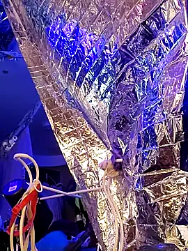 gurlnips online show from March 2025 11:33:02 AM