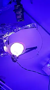 gurlnips online show from September 2025 09:57:02 AM