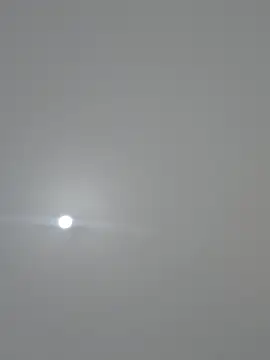 Massa8 online show from March 2025 06:58:01 PM