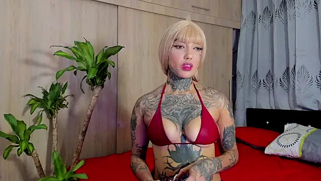 filletatouee online show from January 2026 05:11:02 AM