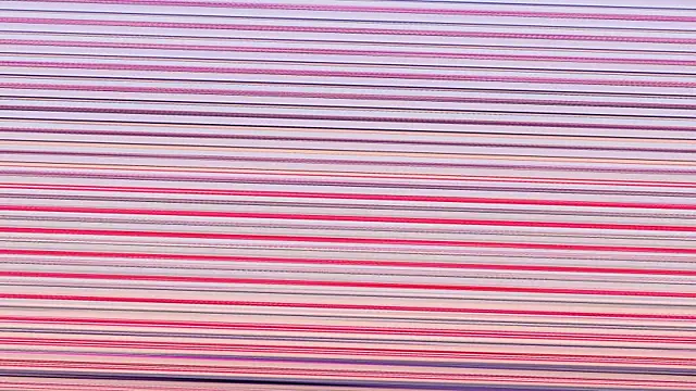 Snapshot of Annieefoxx chatting on November 2025 02:50:01 PM Annieefoxx online show from November 2025 02:50:01 PM