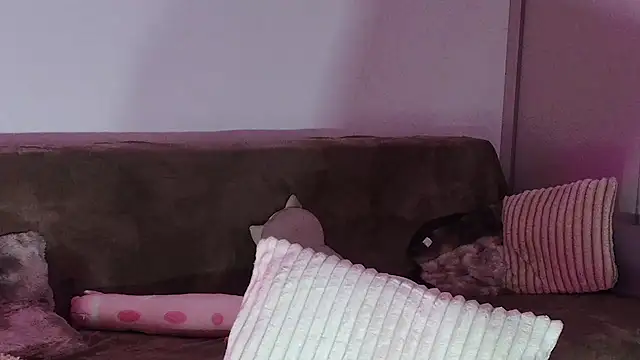 Eva Millar online show from February 2026 08:26:01 AM