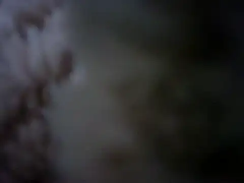 07YUKIO online show from January 2025 10:08:02 PM